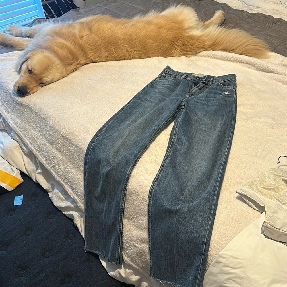 Everlane Jeans, great condition, worn once. Size 24, dog not included :)